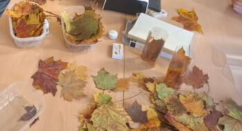 Am 17.Oktober haben die Klassen 1a und 1b mit ihren Klassenlehrerinnen Frau Faltin und Frau Kumm einen wunderschönen, herbstlichen Projekttag erlebt.