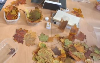 Am 17.Oktober haben die Klassen 1a und 1b mit ihren Klassenlehrerinnen Frau Faltin und Frau Kumm einen wunderschönen, herbstlichen Projekttag erlebt.